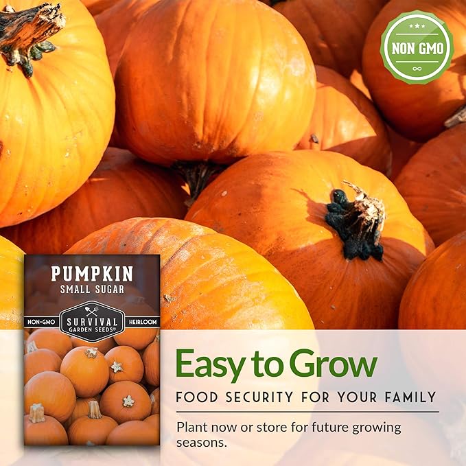 Survival Garden Seeds - Small Sugar Pumpkin Seeds for Planting – 1 Packet with Instructions to Grow Pie Pumpkins in Your Home Vegetable Garden – Non-GMO Heirloom Variety