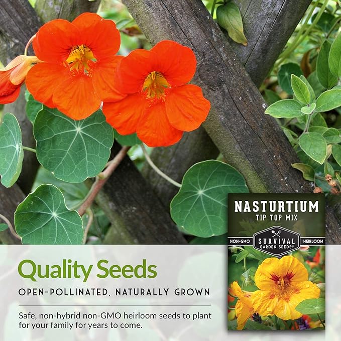 Survival Garden Seeds - Tip Top Mix Nasturtium Seeds - 2 Packs with Instructions to Plant and Grow Edible Flowers & Companion Plants in Your Home Vegetable Garden - Non-GMO Heirloom Variety