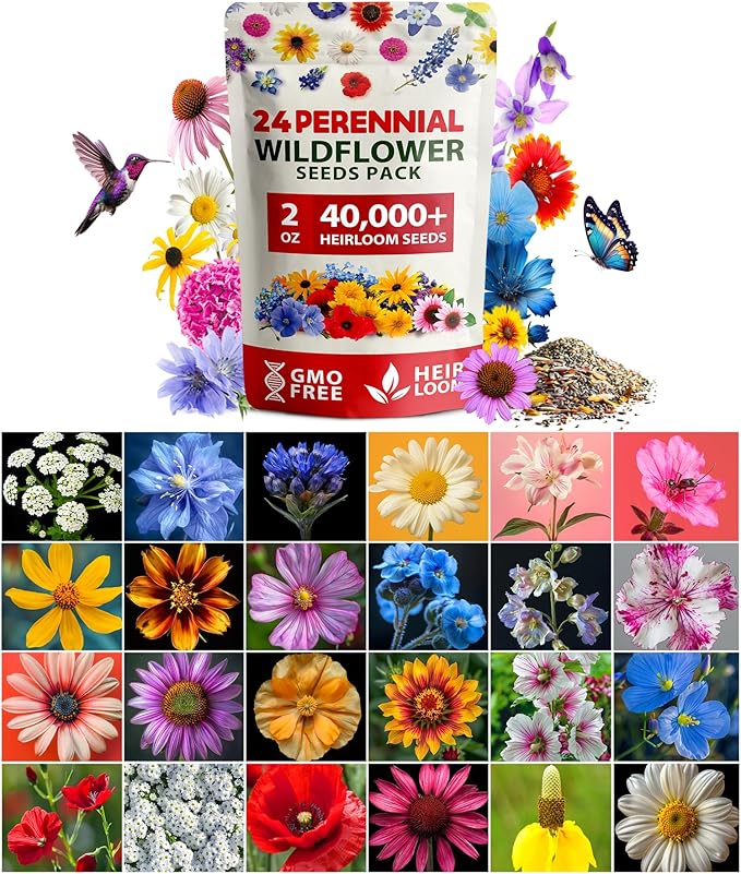 HOME GROWN Wildflower Seeds - 2oz Bulk Perennial Wild Flower Seeds Mix - Flower Garden Seeds for Attracting Bees, Birds & Butterflies - 24 Variety Plant Seeds for Planting Outdoor Garden