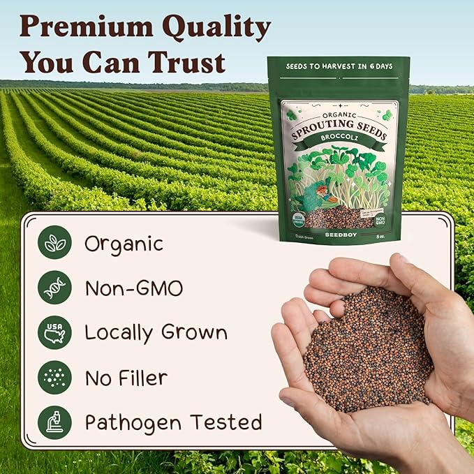 Organic Broccoli Seeds for Sprouting - Non-GMO, USA Grown Broccoli Microgreens Sprouting Seeds Mix - Makes 8 Quarts of Sprouts, 24 Servings (8 oz) (Broccoli)