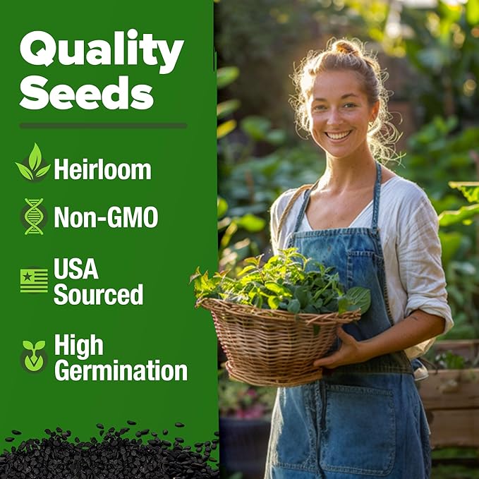 HOME GROWN π¨π¦π π£π₯ππ ππ¨π  Lemon Balm Seed Pack - 403 Non-GMO USA Heirloom Herbal Tea Seeds - Bulk Lemon Balm Seeds for Planting Gardens Indoors or Outdoors - Herb Seeds (Melissa officinalis)