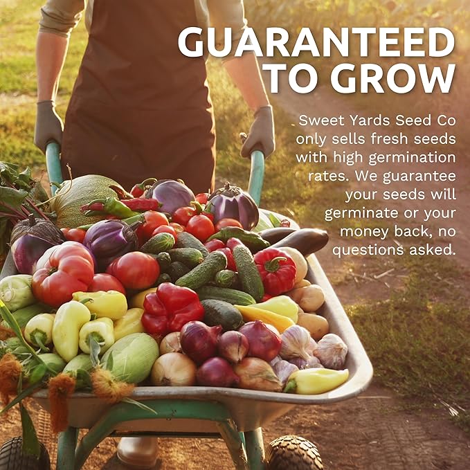 Organic Tomato Seeds Variety Pack - 10 Individual Packs - 2025 Season - Roma, Cherry, Black Krim, Yellow Pear, Pineapple and More! for Indoor & Outdoor Planting (Non-GMO, Certified Organic)