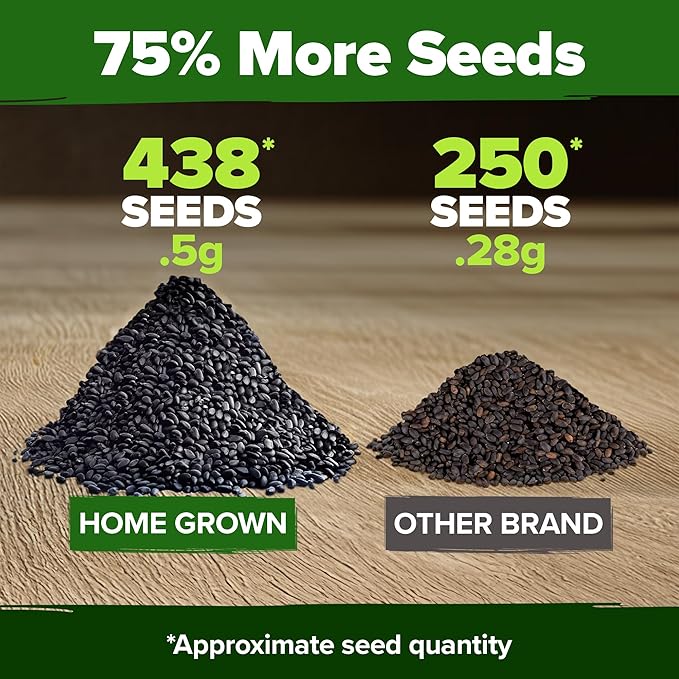 HOME GROWN Thai Basil Seeds Pack - 438 High Germination π‘π’π‘-ππ π’ π¨π¦π Heirloom Herb Seeds for Planting,Ideal for Growing Fresh Basil Planting Indoor or Outdoor(Ocimum basilicum var.thyrsiflora)