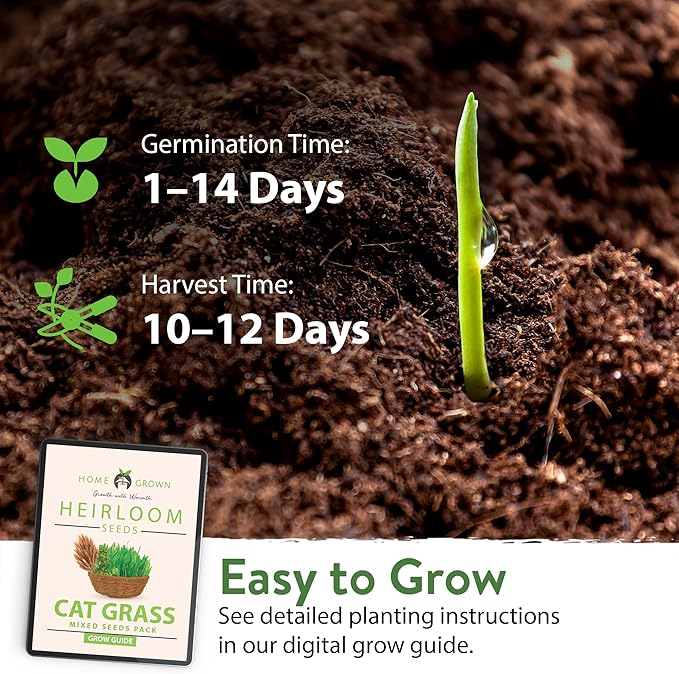 HOME GROWN 30,000+Cat Grass Seeds (6oz) π‘π’π‘-ππ π’ π¨π¦π Heirloom Barley & Oat Mix β Refill for Indoor Cat Grass Growing Kit β Safe Healthy Green Grass for Cats β Pet Grass for Eating & Digestion