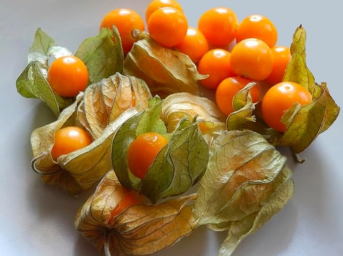 Seeds Ground Cherry (Cape Gooseberry, Goldenberry) Orange Physalis Vegetable for Planting Non GMO