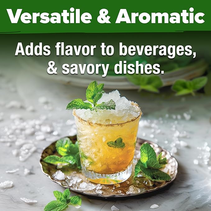 HOME GROWN Premium Common Mint Seeds (Bulk Pack) 3,600 π‘π’π‘-ππ π’ π¨π¦π Heirloom Herb Seeds, USA Sourced | Ideal for Planting Outdoors or Indoors for a Fresh Mint Tea Garden (Mentha spp)