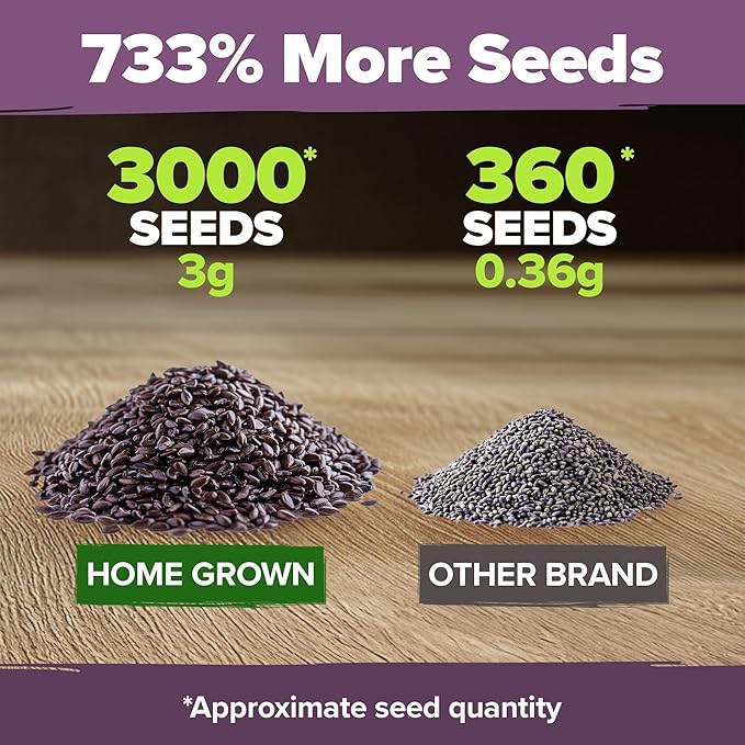 HOME GROWN π¨π¦π π£π₯ππ ππ¨π  English Lavender Seeds 2 Pack 3000 π‘π’π‘-ππ π’ Wildflower Seed, for Planting Indoor Outdoor High Germination Flower Seeds (Lavandula antustifolia)