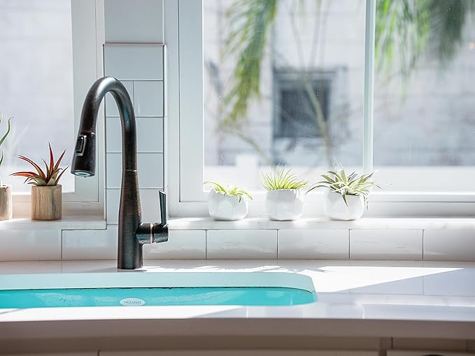 Air Plant Shop 20 Pack Tillandsia Air Plant Grab Bag of Premium Medium & Large Plants- Wholesale and Bulk - Succulents - Live Tillandsia - Easy Care Indoor and Outdoor House Plants