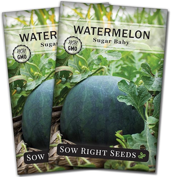 Sow Right Seeds - Sugar Baby Watermelon Seed for Planting - Non-GMO Heirloom Packet with Instructions to Plant a Home Vegetable Garden - Medium Sized with Dark Rind and Super Sweet Flesh (2)