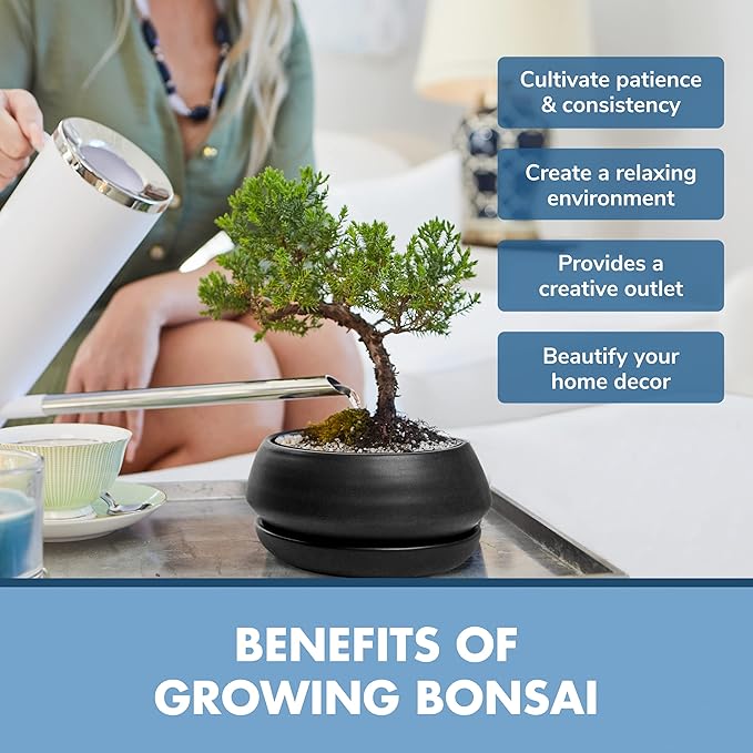Bonsai Tree Seed Starter Kit - Mini Bonsai Plant Growing Kit, 3 Types of Seeds, Potting Soil, Pots, Pruning Shears Scissor Tool, Plant Markers, Wood Gift Box, Fathers Day Gardening Gifts Ideas