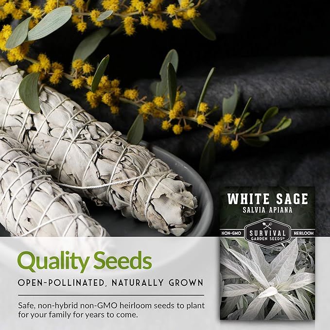 Survival Garden Seeds - 2 Packs White Sage Seed for Planting - Grow Sustainable Smudging Herbs - Packet with Instructions to Plant & Grow in Your Home Garden - Non-GMO Heirloom Variety