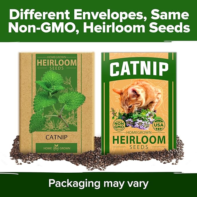 HOME GROWN 𝗨𝗦𝗔 𝗣𝗥𝗘𝗠𝗜𝗨𝗠 Catnip Seeds (Bulk Pack) 𝗡𝗢𝗡-𝗚𝗠𝗢 Heirloom Herb 2,116 Seeds - Indoor or Outdoor Seed - High-Germination Cat Nip - Cat Safe Plants (Nepeta cataria)