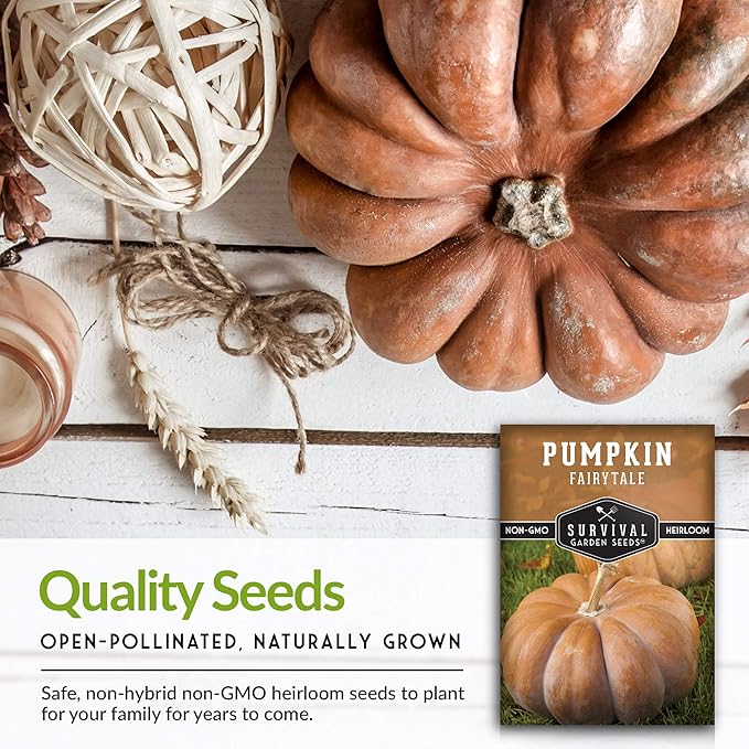 Survival Garden Seeds Fairy Tale Pumpkin Seeds for Planting – Packet with Instructions to Plant & Grow Pumpkins in Your Home Vegetable Garden - Non-GMO Heirloom Seeds