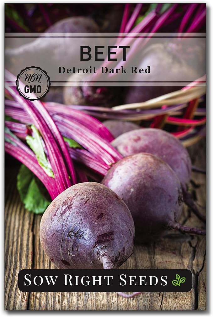 Sow Right Seeds - Detroit Dark Red Beet Seeds for Planting - Non-GMO Heirloom Packet with Instructions to Plant & Grow an Outdoor Home Vegetable Garden - Nutritious, Cold Hardy, and Productive (1)