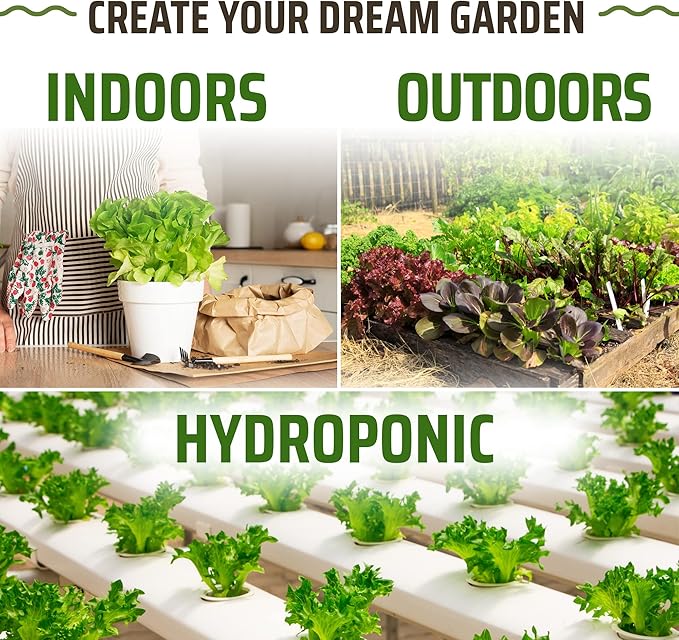 Rooted Acre 15 Lettuce & Green Seeds Pack | Non-GMO Heirloom Seeds | Garden Salad Greens Seeds | Hydroponic Vegetable Seeds for Planting Indoor | Romaine, Kale, Spinach, Arugula, & Butter Lettuce Seed
