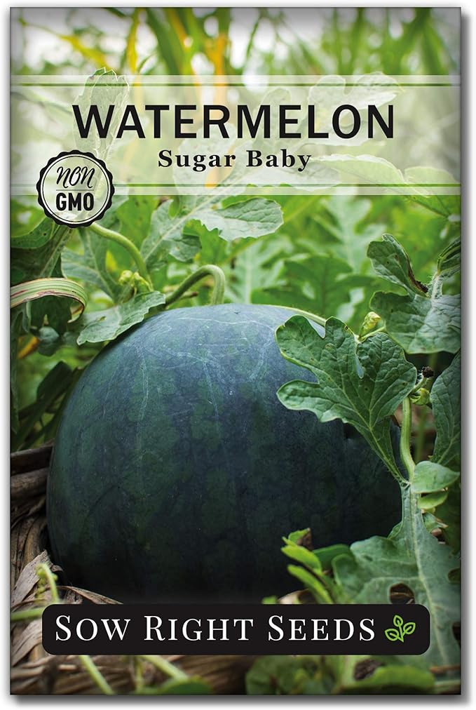 Sow Right Seeds - Sugar Baby Watermelon Seed for Planting - Non-GMO Heirloom Packet with Instructions to Plant a Home Vegetable Garden - Medium Sized with Dark Rind and Super Sweet Flesh (1)