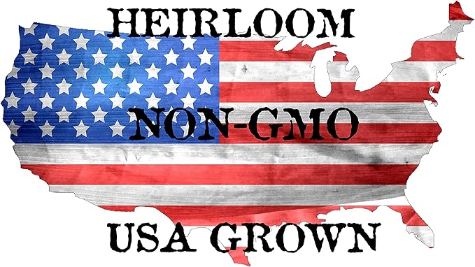 50 Black Diamond Watermelon Seeds for Planting - Heirloom Non-GMO Fruit Seeds for Planting - Grows Big Giant Watermelons Averaging 30-50 lbs