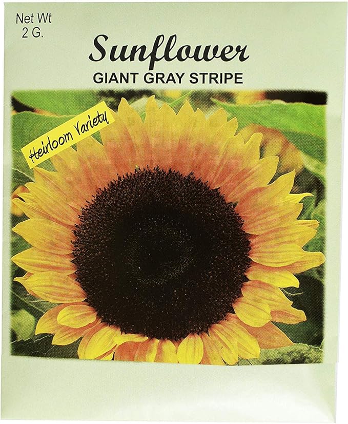 Set of 50 Flower Seed Packets! Flower Seeds in Bulk (50, Sunflower)