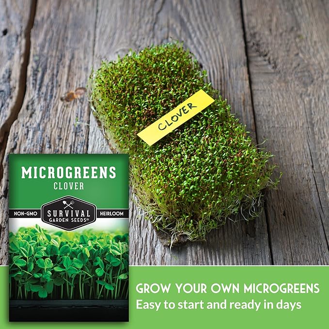 Survival Garden Seeds 1 Pack Clover Microgreens Seeds for Planting & Growing Indoors – Plant Green Leafy Micro Herbs Indoors – Non-GMO Heirloom – Grow a Salad on Your Window Sill