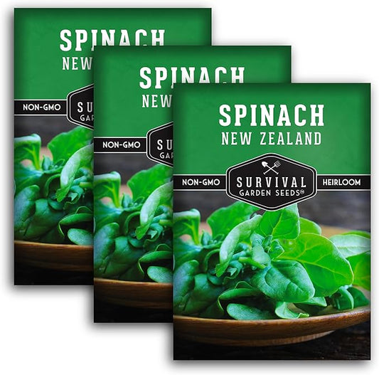 New Zealand Spinach Seed for Planting - 3 Packets with Instructions to Plant & Grow Tetragonia Tetragonoides in Your Home Vegetable Garden - Non-GMO Heirloom Variety - Survival Garden Seeds