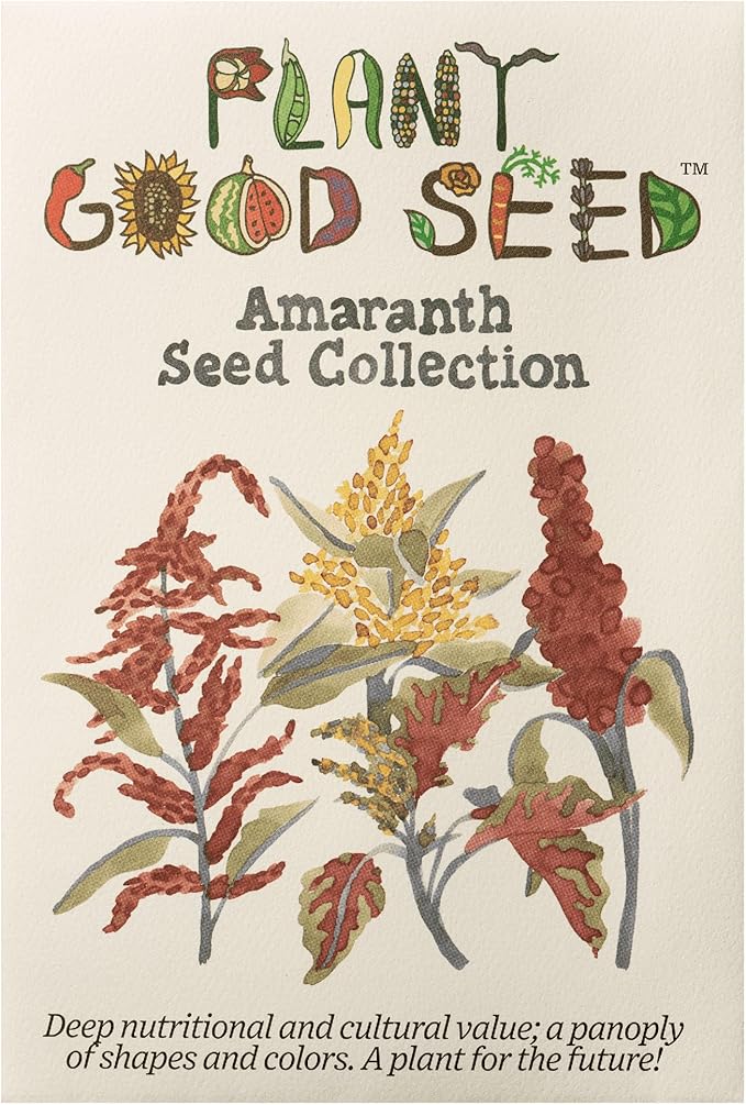 Plant Good Seed Organic Amaranth Seed Collection - Five Packets/600 Seeds Each: Chinese Giant, Dreadlocks, Green Tails, Red Dye, Callaloo - Heirloom Planting Vegetables Gardening Supplies Grain Flower