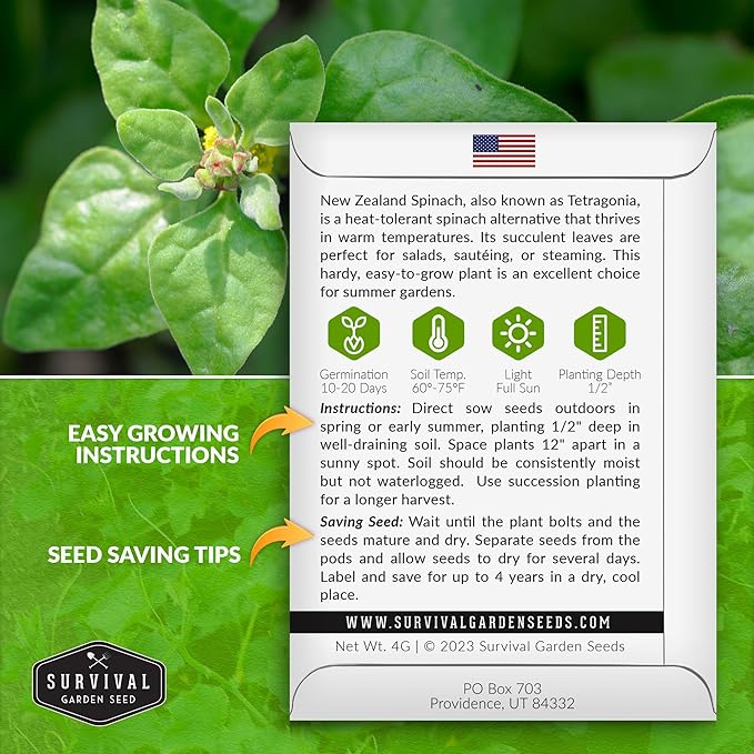 New Zealand Spinach Seed for Planting - 3 Packets with Instructions to Plant & Grow Tetragonia Tetragonoides in Your Home Vegetable Garden - Non-GMO Heirloom Variety - Survival Garden Seeds