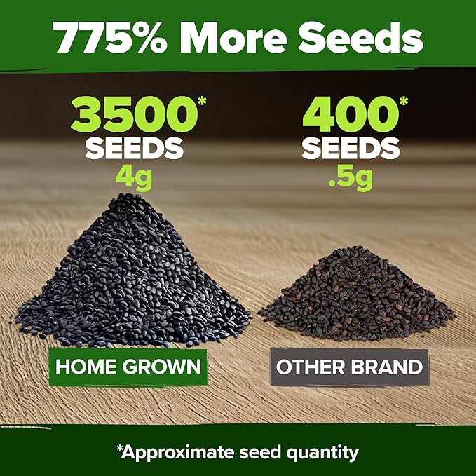 HOME GROWN Genovese Basil Seeds 2 Pack - 3500 π‘π’π‘-ππ π’ π¨π¦π Heirloom Basil Seeds for Planting (Ocimum basilicum) - Herb Seeds for Indoor & Outdoor Gardening - Grow for Culinary Use