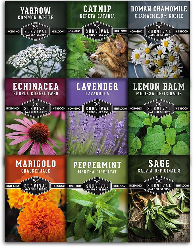 Medicinal Tea Seeds Collection - 9 Non-GMO Heirloom Herbs to Grow in The Garden - Chamomile, Lavender, Echinacea, Catnip, Lemon Balm, Marigold, Sage, Peppermint, White Yarrow - Survival Garden Seeds