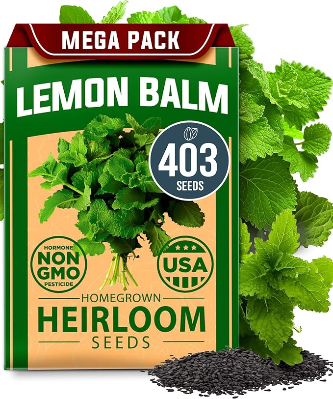 HOME GROWN π¨π¦π π£π₯ππ ππ¨π  Lemon Balm Seed Pack - 403 Non-GMO USA Heirloom Herbal Tea Seeds - Bulk Lemon Balm Seeds for Planting Gardens Indoors or Outdoors - Herb Seeds (Melissa officinalis)