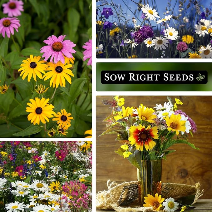 Sow Right Seeds - Wildflowers Seeds Mix for Planting in Midwest - Non-GMO Heirloom Varieties to Grow a Wild Flower Garden - Perennial and Annual Flowers to Attract Pollinators - Colorful Blooms (1)