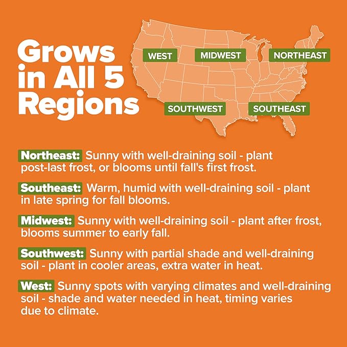 HOME GROWN Crackerjack Marigold Seeds (2.05oz) 15,000 Flower Seeds Planting Outdoor, Easy to Grow, USA Sourced Wildflowers, Great for Companion Planting