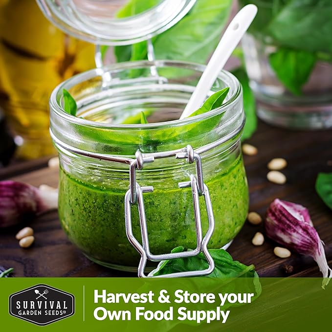 3 Packs Watercress Seed for Planting - Packet with Instructions to Grow Nasturtium officinale in Your Home Vegetable Garden - Non-GMO Heirloom Variety - Survival Garden Seeds