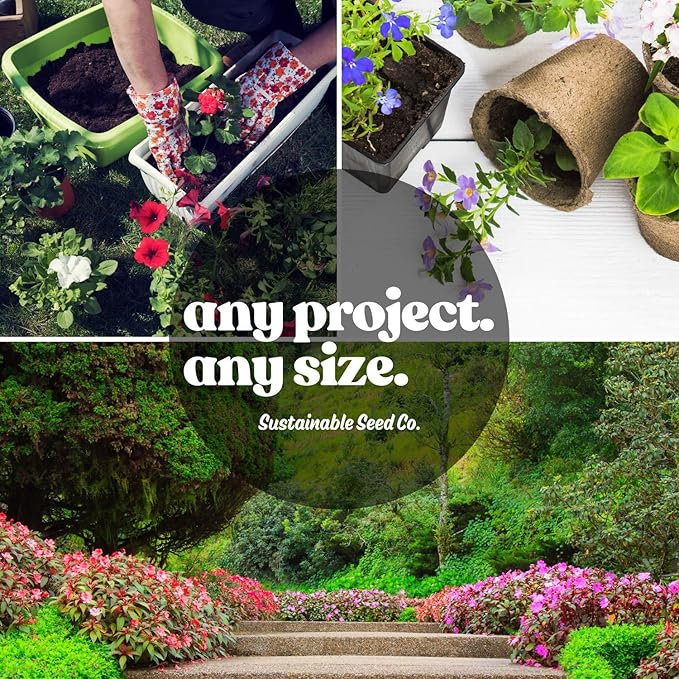 Wildflower Seeds Bulk - Meadow Wildflower Seed Mix, 5 Lbs Bulk, Annual & Perennial Wildflowers Seeds for Planting, Wild Flower & Grass Garden Mixture, Mountain Valley Seed Company