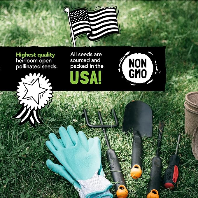 Culinary Herb Seeds Variety Pack: 10 Spice Herbs, Hydroponic Garden Indoors, Heirloom Planting Basil, Parsley, Sage, Thyme, Rosemary, Cilantro, Chives Dill Oregano, Summer Savory by Sustainable Sprout