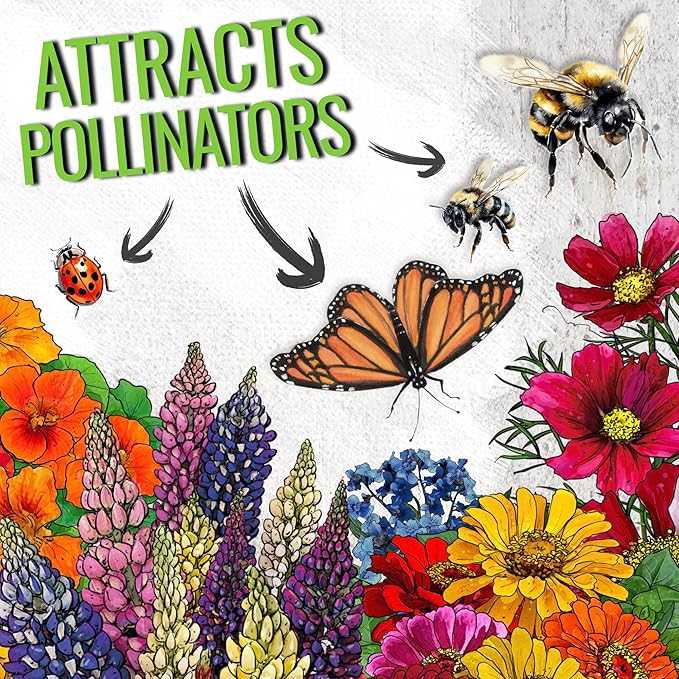 Seed Needs Wildflower Seeds Hummingbird and Butterfly Seed Mix | 5 Packs (1 Ounce Each) No Filler 23 Varieties Garden Seeds Annual & Perennial Species | Pollinator Attracting Flower Seed | Bulk
