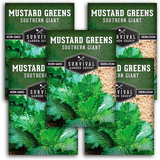 Survival Garden Seeds - Southern Giant Mustard Greens Seed for Planting - 5 Packets with Instructions to Grow Spicy Brassica Juncea Leaves in Your Home Vegetable Garden - Non-GMO Heirloom Variety
