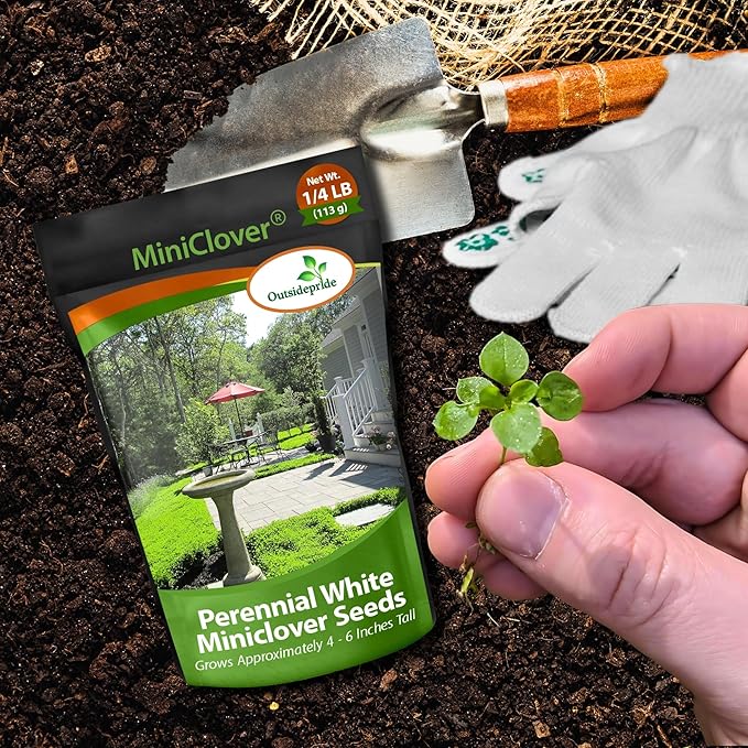 Outsidepride Perennial White MiniClover Seed - 1/4 lb. Dwarf, Small-Leaved, Drought & Wear-Tolerant Micro Clover Seeds for Lawn, Ideal Low-Maintenance & Easy to Grow Ground Cover Seeds for Home Yard