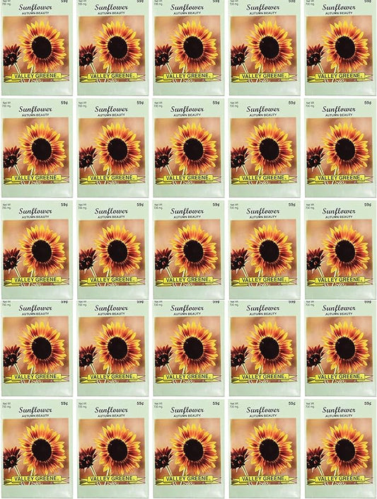 Black Duck Brand Set of 25 Autumn Beauty Sunflower Seed Packets! Flower Seeds in Bulk - Great for Creating The Garden of Your Dreams! (25, Autumn Beauty Sunflower)