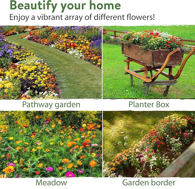 HOME GROWN 58,500+ Wildflower Seeds - Premium Birds & Butterflies Wildflower Seed Mix (2oz) Flower Garden Seeds - Bulk Wild Flowers: 23 Wildflowers Varieties of 100% Non-GMO Annual Flower Seeds