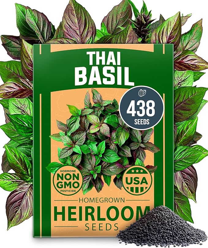 HOME GROWN Thai Basil Seeds Pack - 438 High Germination π‘π’π‘-ππ π’ π¨π¦π Heirloom Herb Seeds for Planting,Ideal for Growing Fresh Basil Planting Indoor or Outdoor(Ocimum basilicum var.thyrsiflora)