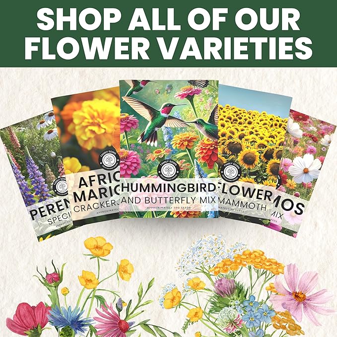 African Marigold Crackerjack - Large 2,500mg Envelope - 500 Flower Seeds for Planting - Tagetes erecta