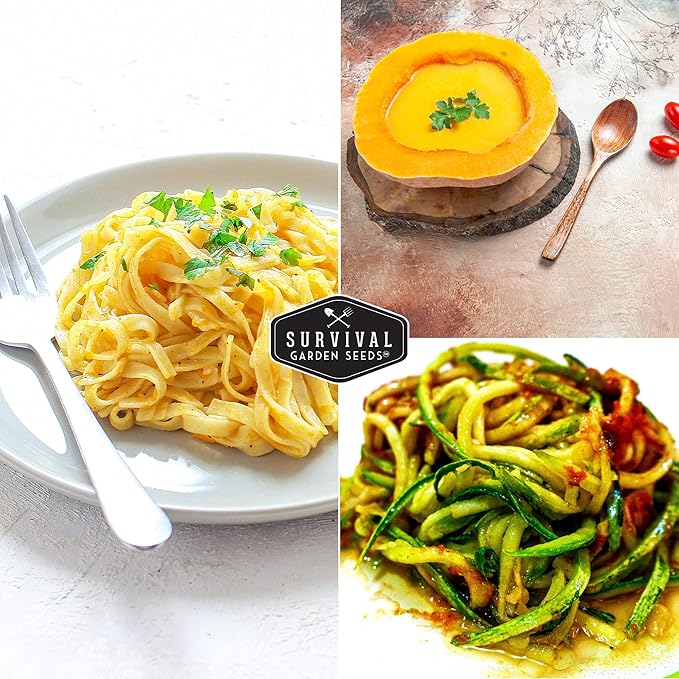 Survival Garden Seeds - Spaghetti Squash Seed for Planting - 3 Packets with Instructions to Plant and Grow Low Carb Healthy Winter Squash in Your Home Vegetable Garden - Non-GMO Heirloom Variety