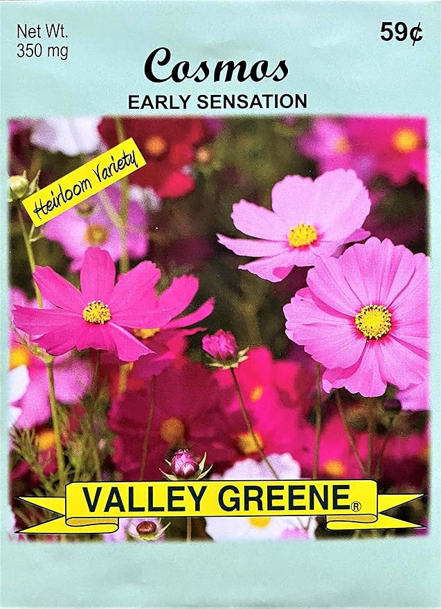 Black Duck Brand Set of 25 Cosmos Early Sensation Flower Seed Packets! Flower Seeds in Bulk - Great for Creating The Garden of Your Dreams! (25, Cosmos - Early Sensation)