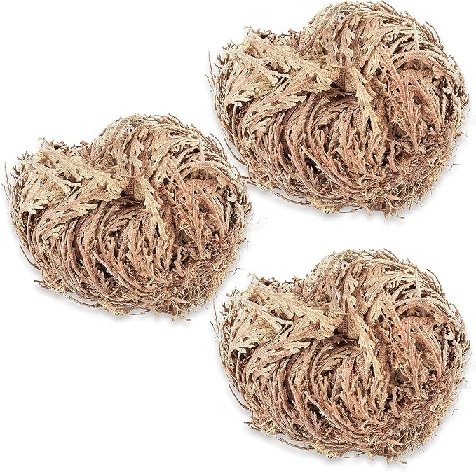 TWO - Rose of Jericho Flower I MEDIUM Size | Flor de Jericó - Resurrection Plant | Selaginella Lepidophylla | Dried Rose I Doradilla Plant | 3''' - 4'' each I Spiritual Cleansing, Luck, and Prosperity