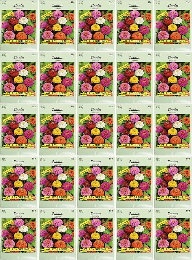 Black Duck Brand Set of Zinnia Lilliput Flower Seed Packets! Flower Seeds in Bulk - Great for Creating The Garden of Your Dreams! (25, Zinnia - Lilliput)