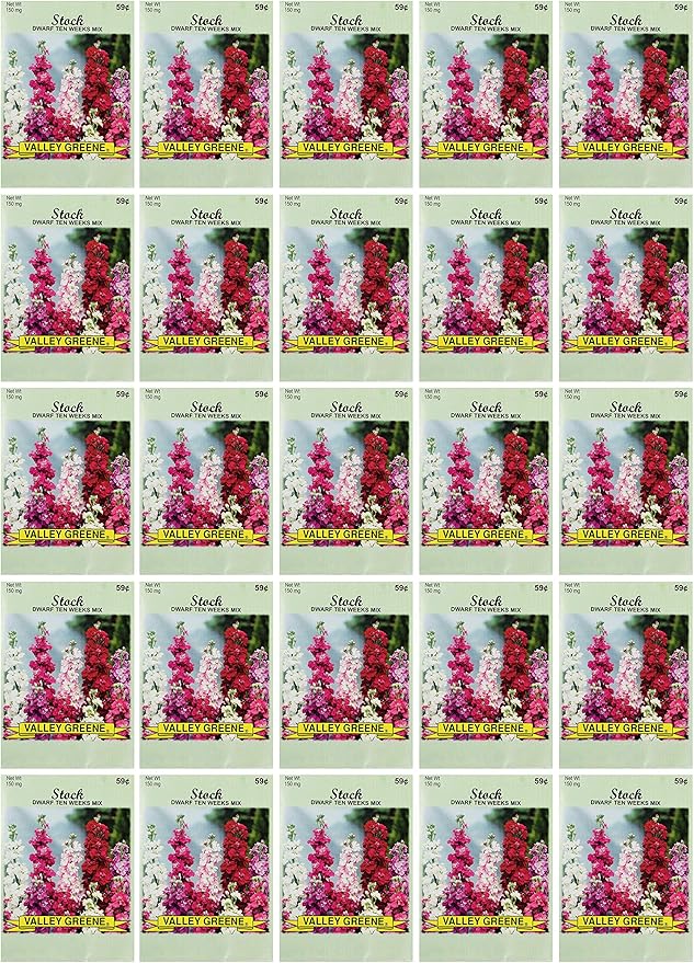 Black Duck Brand Set of 25 Stock Flower Seed Packets! Flower Seeds in Bulk - Great for Creating The Garden of Your Dreams! (25, Stock - Dwarf Ten Weeks)