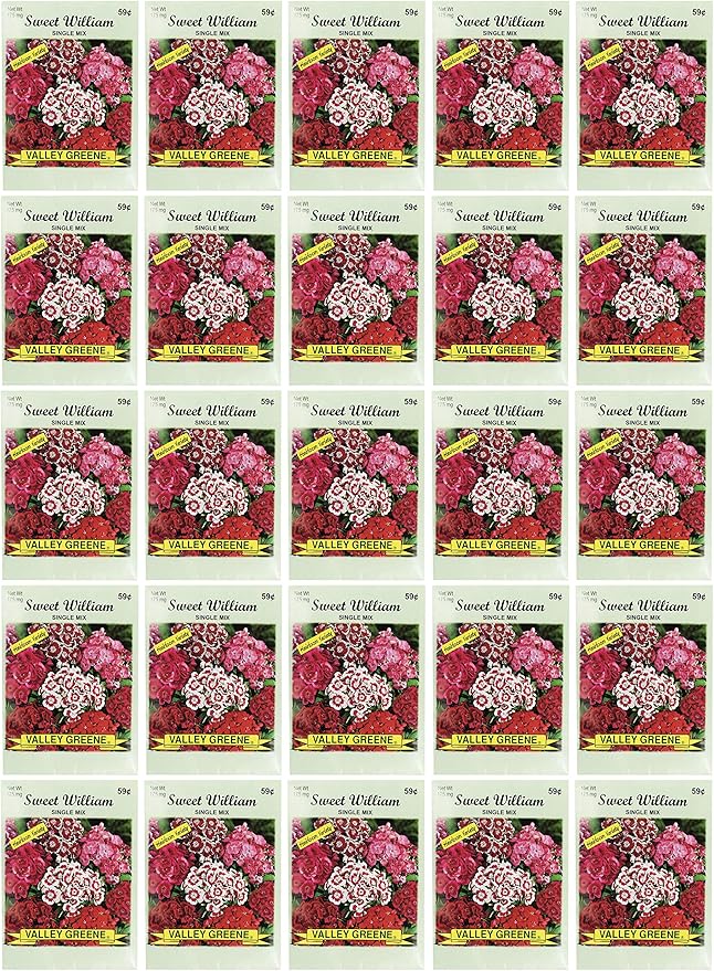 Black Duck Brand Set of 25 Sweet William Single Mix Flower Seed Packets! Flower Seeds in Bulk - Great for Creating The Garden of Your Dreams! (25, Sweet William - Single Mix)