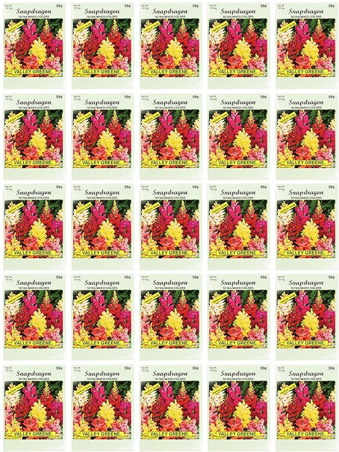 Black Duck Brand Set of 25 Snapdragon Tetra Mixed Flower Seed Packets! Flower Seeds in Bulk - Great for Creating The Garden of Your Dreams! (25, Snapdragon - Tetra Mixed Colors)
