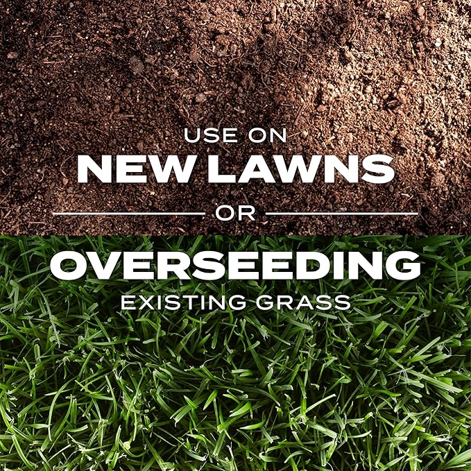 Scotts Turf Builder Rapid Grass Southern Gold Blend for Tall Fescue Lawns, Combination Seed and Fertilizer, 5.6 lbs.