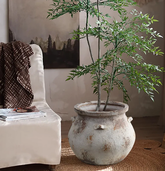 Bringing the Outdoors In: 5 Nordic Principles for Indoor Greenery